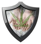 Marijuana or Cannabis Enterprise Security Cannabis Enterprise Security